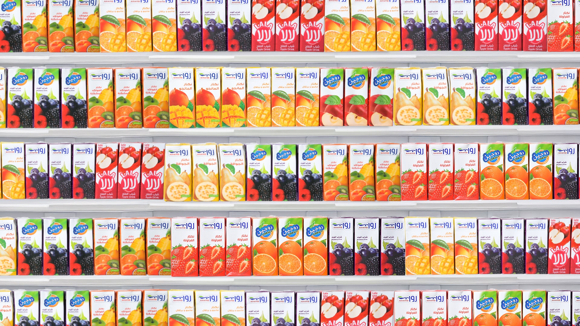 أقسام الشركة